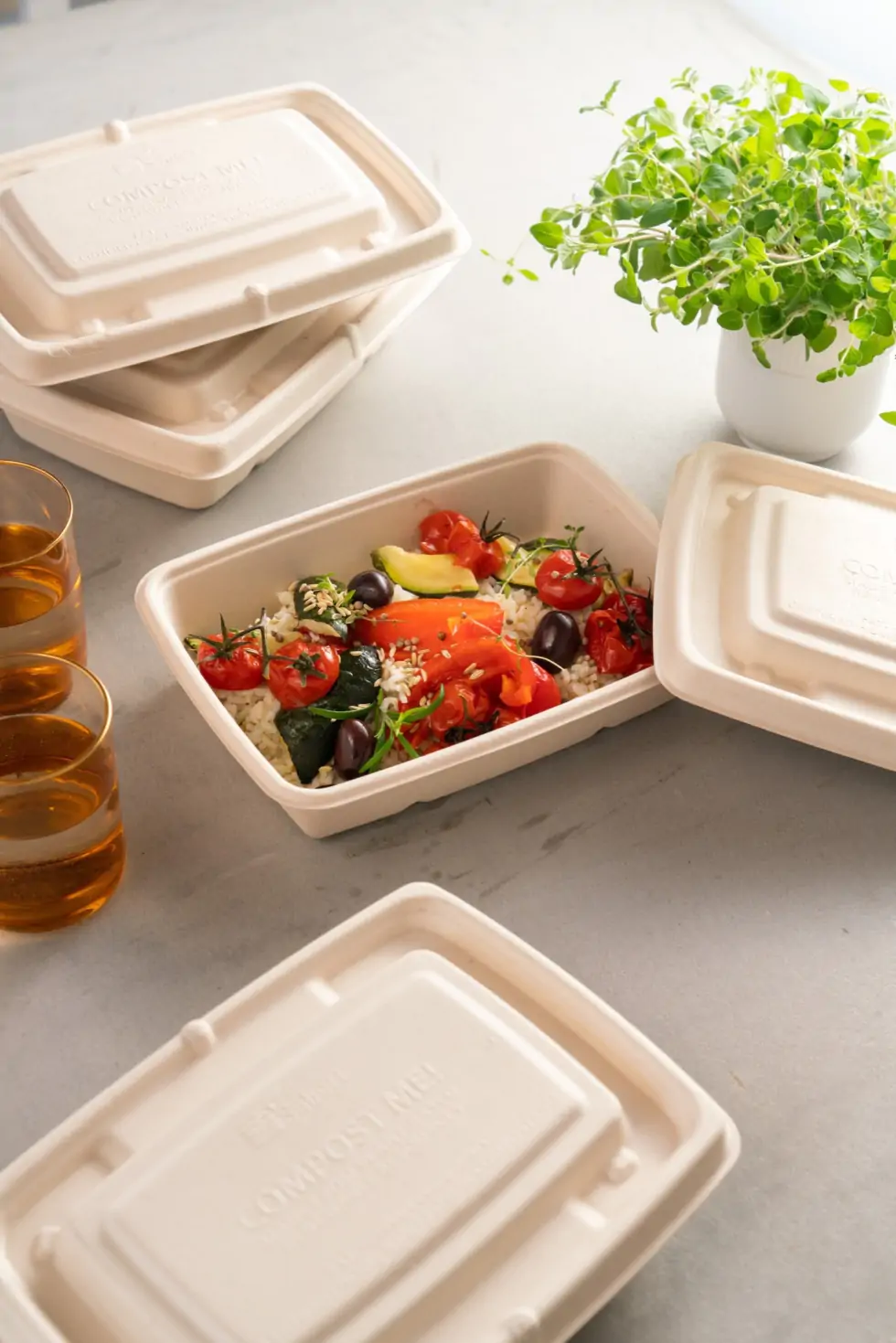 Menübox aus Bagasse