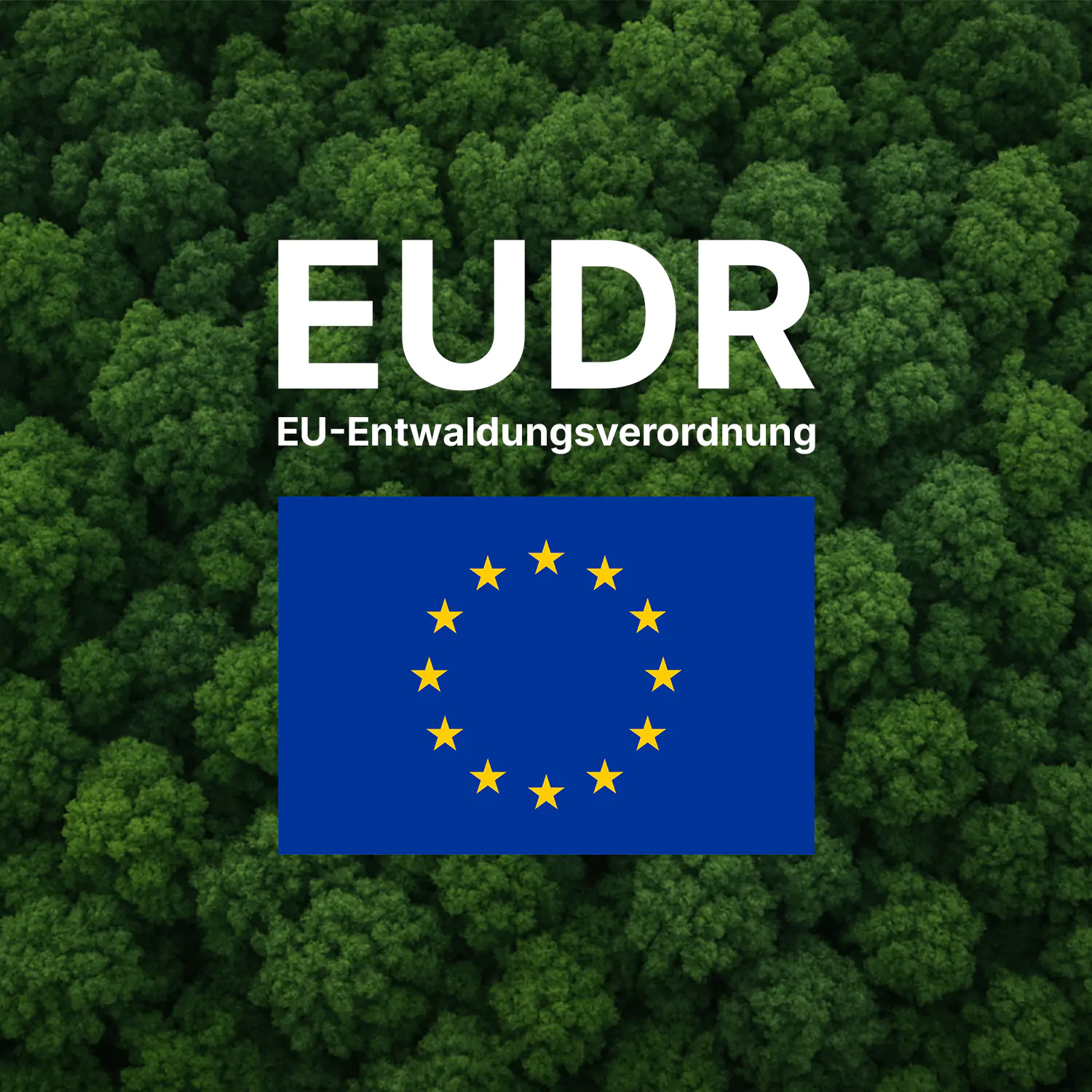 EUDR für Lebensmittel-Verpackungen 2026 