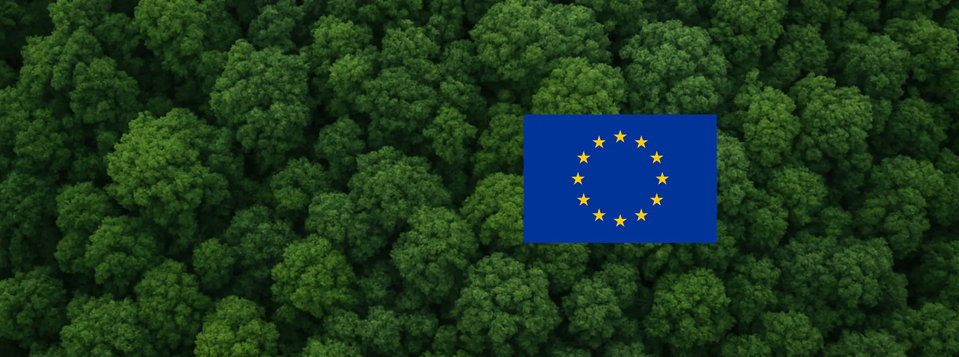 EUDR Wald 2026